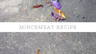 Homemade mincemeat recipe [upl. by Eiramoj]