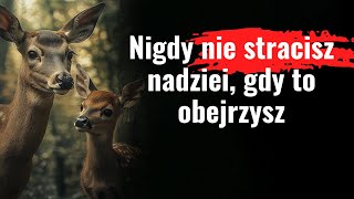 Nigdy nie trać nadziei  Motywacyjna historia która zmieni Twoje życie [upl. by Emoreg996]