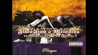 Flaco Flow y Melanina  Pringao Audio [upl. by Anhsirk43]