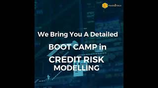 Credit Risk Modelling  125 hours  Excel  Python [upl. by Bostow94]