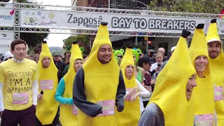 Bay to Breakers 2023 San Francisco [upl. by Aylmar]