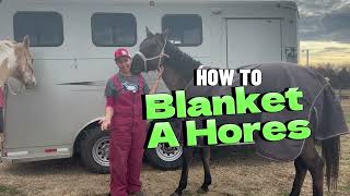 How to Blanket a horse How to take a blanket off a horse Unprofessional Cowgirl shows you how [upl. by Eniffit]