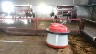 2 Lely A4s Lely Discovery amp Lely Juno hard at work [upl. by Richman]