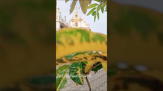 St George Forane Church Edathua എടത്വാ പള്ളി church edathua shorts video youtubeshorts [upl. by Justino696]