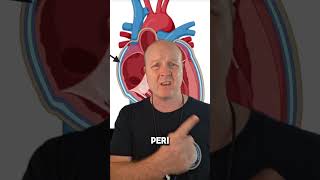 Pericarditis Pericardial effusion and Cardiac tamponade [upl. by Atiken]