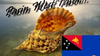 GABIDZ Meri Island PNG music [upl. by Atteselrahc]