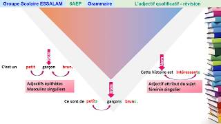 Ladjectif qualificatif  Grammaire  6AP [upl. by Eugirne]