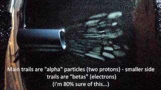 Americium and Fiestaware Fragment in Peltier Cloud Chamber [upl. by Kliment]