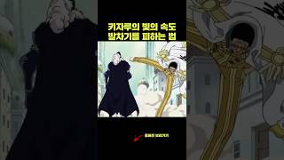 빛의 속도 발차기를 피하는 방법 키자루 물리학 원피스 [upl. by Igal]