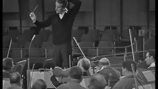 Strauss  Till Eulenspiegel Rehearsal  Celibidache SRSO 1965 English Subtitles [upl. by Delfeena]