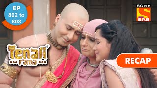 Tenali Rama  तेनाली रामा  Ep 802 amp Ep 803 RECAP [upl. by Delinda]