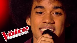 Gloria Gaynor – I Am What I Am  Gwendal Marimoutou  The Voice France 2014  Blind Audition [upl. by Winonah]