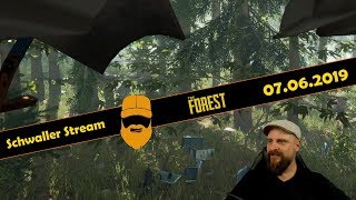 0006  Schwaller Stream 💬 The Forest  LiveStream Wautscher  07062019 [upl. by Anos30]