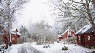 ▷ MY LITTLE VILLAGE IN THE SWEDISH COUNTRYSIDE [upl. by Doley328]