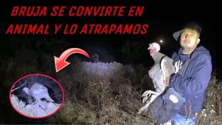 BRUJA SE CONVIERTE EN ANIMAL Y LA ATRAPAMOS [upl. by Lebana]