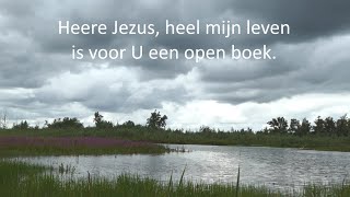 Heere Jezus heel mijn leven  een avondgebed 2 [upl. by Friedland]