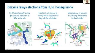 Hydrogenase Lectures 2022 Episode 4 Part 1 Chris Greening [upl. by Baird]