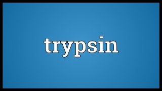 Trypsin Meaning [upl. by Rosenblast]