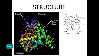 Cytochrome P450 Structure and Mechanism Xenobiotic metabolism [upl. by Ahsieket]