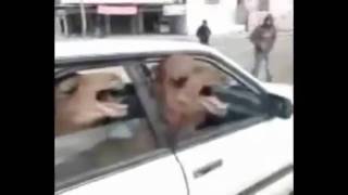 Two Angry Camels in a Tiny Car argues with spitting goat [upl. by Wiedmann]