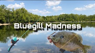 Panfish Madness  Spot Hopping Catching Bluegill With Kid Rod [upl. by Robena]