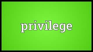 Privilege Meaning [upl. by Warren]