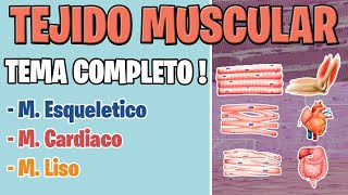 TEJIDO MUSCULAR HISTOLOGIA  MUSCULO ESQUELETICO CARDIACO Y LISO [upl. by Anyala]