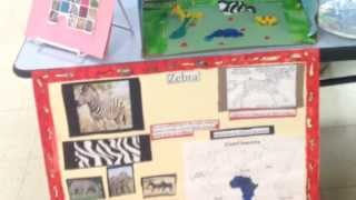 Project Based Learning Do Our Zoo [upl. by Alomeda]