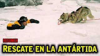 Una tormenta lo obliga a dejar a sus perros  Rescate en la Antártida 2006 [upl. by Esra]