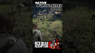 Native Burial Site ⚰️💀☠️  Red Dead Redemption 2 rdr2 rdr2gameplay rdr2secret gaming viralvideo [upl. by Nois]