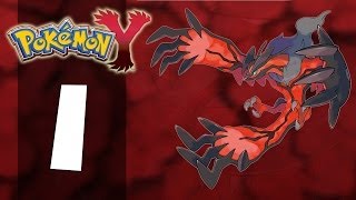 Pokémon Y  Part 1 PlaythroughWalkthrough [upl. by Atiuqad323]