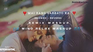 💗Mai Rang Sarbato Ka💗  Lofi SlowedReverb Remix  ❣️Mind Relax Mashup❣️  Reverberating Echoes [upl. by Illehs]