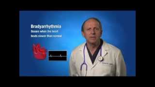 Bradycardia Informational Video  30mov [upl. by Hinson307]