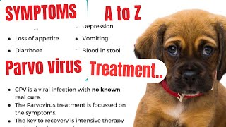 parvovirus in dogs  parvo dog virus treatment  parvovirus treatment  parvovirus symptoms  parvo [upl. by Trescha]