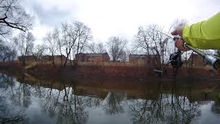 Esopus Creek Fishing  Kingston NY  Pickerel and quotAlmostquot a Perch [upl. by Aiam378]