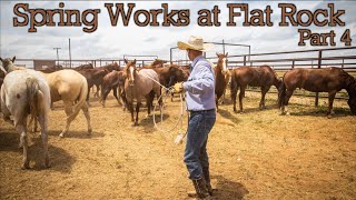 Roping horses Flatrock Ranchin  Rodeo Time 210 part 4 [upl. by Deehan699]