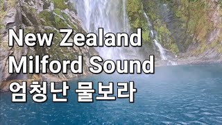 뉴질랜드 밀포드사운드의 장엄하고도 눈부신 물보라와 폭포수 Milford Sound New Zealand [upl. by Granville]