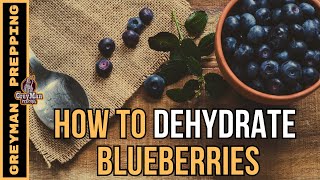 Whats The Best Way To Dehydrate Blueberries [upl. by Prasad]