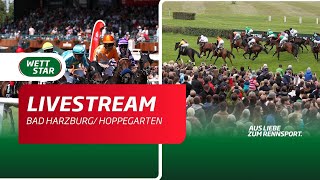 Livestream BerlinHoppegarten Bad Harzburg 2107 [upl. by Prowel]