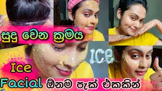 සුදු වෙන්න මේ වැඩේ කරාම ඇති  Ice Facial  Get Glowing Skin in 1MinIce Facial  Ice Cube Face Pack [upl. by Aivon127]