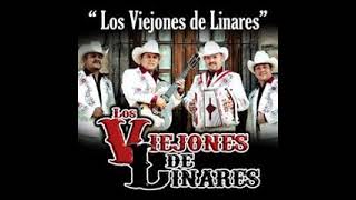 Los Viejones de Linares  HUAPANGOS Y CUMBIAS MIX 12 EXITOS EN VIVO [upl. by Nwahsat]