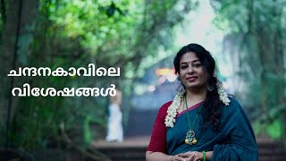 ചന്ദനകാവിലെ വിശേഷങ്ങൾ SmithaSathish [upl. by Frederik]