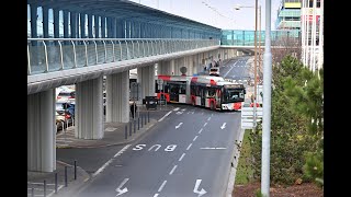 Zahájení provozu trolejbusové linky číslo 59 na Letiště Václava Havla Praha [upl. by Tris971]