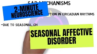 2Minute Neuroscience Seasonal Affective Disorder [upl. by Atekehs816]