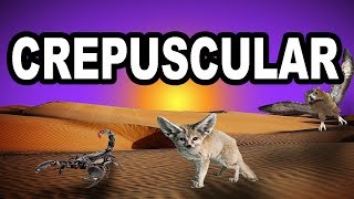 Learn English Words  CREPUSCULAR  Meaning Vocabulary with Pictures and Examples [upl. by Annert994]