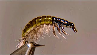 Oliver Edwards Tying the Hydropsyche Larva Fly Pattern [upl. by Kahlil]