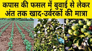 कपास में कौनसा खाद डाले  npk fertilizer  DAP khad  13 0 45 fertilizer  kapas ki kheti  npk [upl. by Hun]