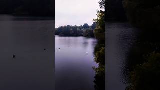 Weißensee shortvideo viralvideo viralshort new nature [upl. by Bergwall]