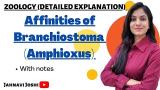 Affinities of BranchiostomaAmphioxus Notes Bsc 2nd year Zoology [upl. by Amlev]