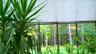 12x20 Glass Greenhouse with Aluminet Shade Cloth  Arcadia GlassHouse [upl. by Hamilah]